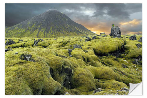 Naklejka na ścianę Moss-covered lava field, Iceland