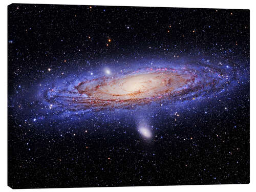 Canvas print Andromeda galaxy