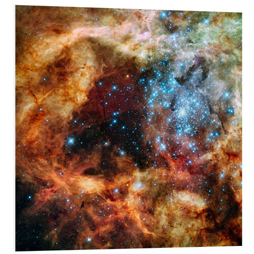 Foam board print Doradus star clusters