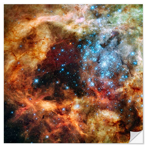 Selvklebende plakat Doradus star clusters