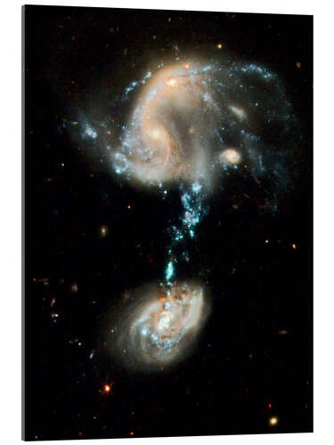 Akrylglastavla Interacting galaxies Arp 194, HST image