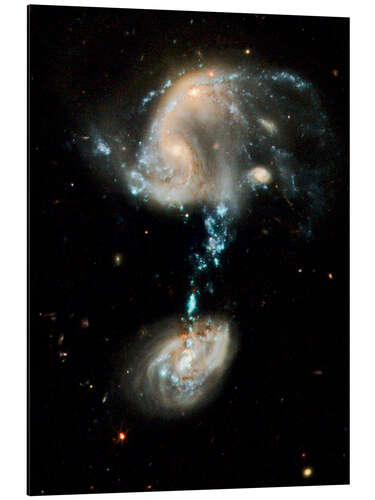 Aluminium print Interacting galaxies Arp 194, HST image