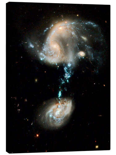 Canvas print Interacting galaxies Arp 194, HST image