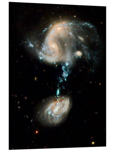 Foam board print Interacting galaxies Arp 194, HST image