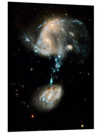 Foam board print Interacting galaxies Arp 194, HST image