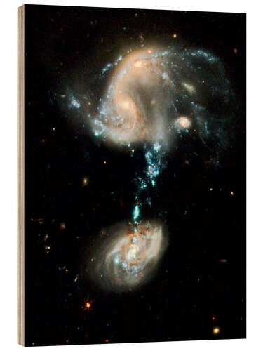 Wood print Interacting galaxies Arp 194, HST image