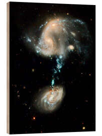 Quadro de madeira Interacting galaxies Arp 194, HST image