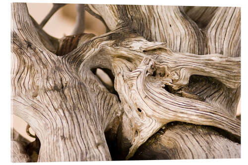 Akrylbilde Driftwood