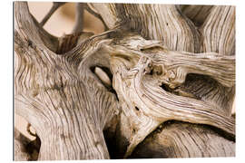 Gallery print Driftwood