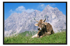 Gerahmter Kunstdruck Kuh auf einer Almwiese