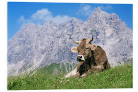 Foam board print Cow on a mountain meadow