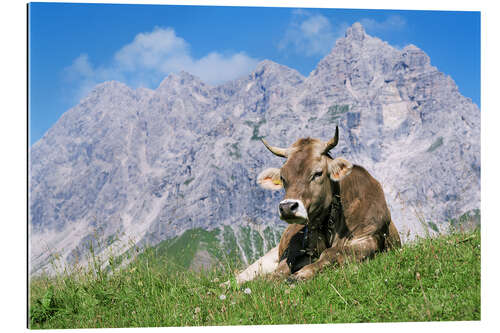 Galleriprint Cow on a mountain meadow