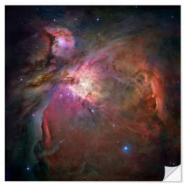 Selvklebende plakat Orion nebula (M42 and M43)