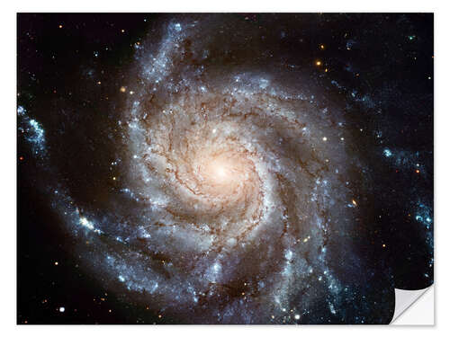 Självhäftande poster Spiral galaxy M101