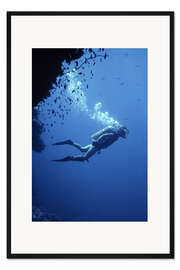 Gerahmter Kunstdruck Taucher