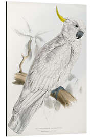 Magnettafel Gelbwangenkakadu