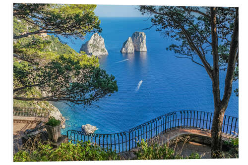 Foam board print Faraglioni rocks at Capri (Italy)