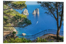 Magnettafel Faraglioni-Felsen auf Capri (Italien)