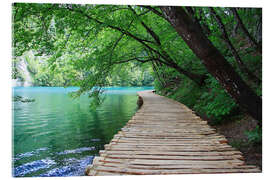 Akryylilasitaulu  Plitvice Lakes National Park Boardwalk - Renate Knapp