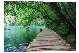 Aluminium print Plitvice Lakes National Park Boardwalk