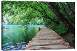 Tableau sur toile  Chemin de bois dans le parc national des lacs de Plitvice - Renate Knapp