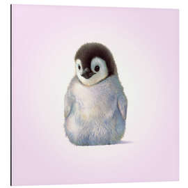 Quadro em alumínio Penguin Chick