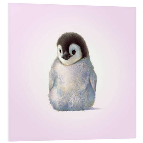 Quadro em PVC Penguin Chick