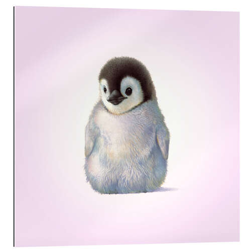 Galleritryk Penguin Chick