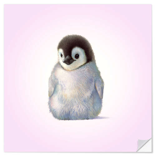 Naklejka na ścianę Penguin Chick