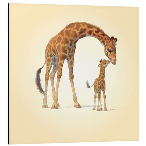 Quadro em alumínio Giraffe & Calf