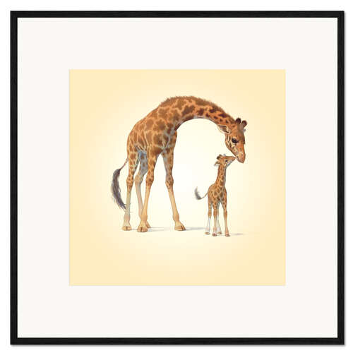 Ingelijste kunstdruk Giraffe & Calf