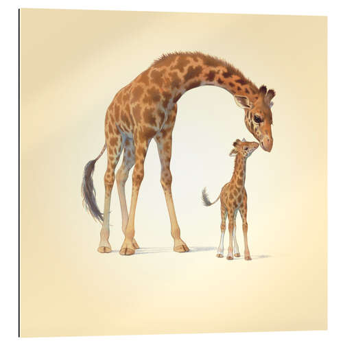 Quadro em plexi-alumínio Giraffe & Calf