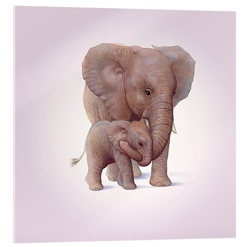 Akryylilasitaulu Elephant & Calf