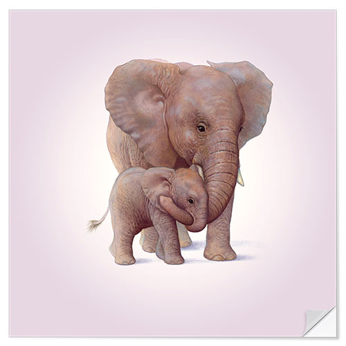 Naklejka na ścianę Elephant & Calf