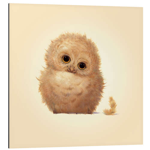 Cuadro de aluminio Owlet