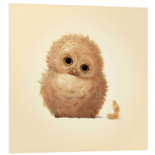 PVC-taulu Owlet