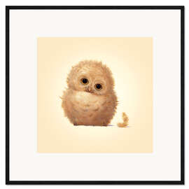 Framed art print Owlet