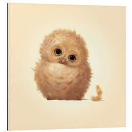 Magnettafel Kleine Eule