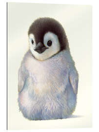 Gallery print Penguin chick