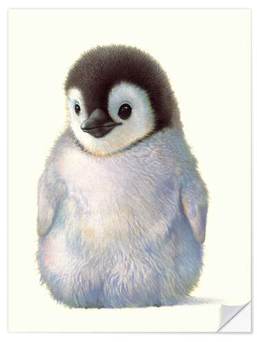 Selvklæbende plakat Penguin chick