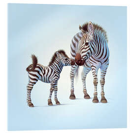 Akrylglastavla  Zebra &amp; Foal - John Butler