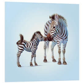 Foam board print Zebra &amp; Foal