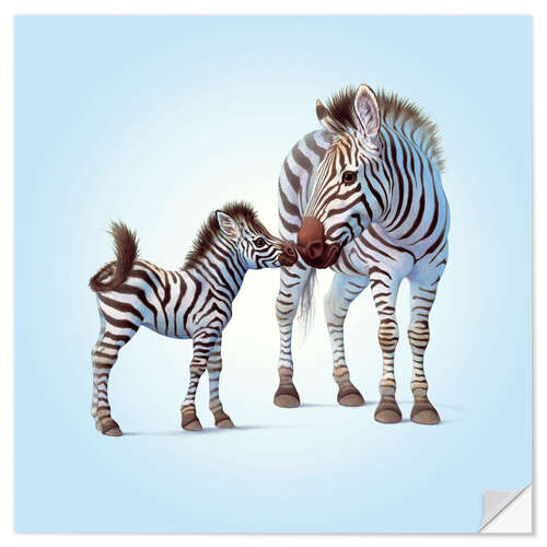 Naklejka na ścianę Zebra & Foal