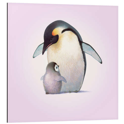 Aluminium print Penguin & Chick