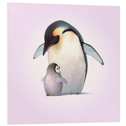 Foam board print Penguin & Chick