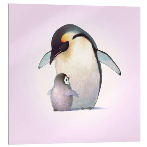 Gallery print Penguin & Chick