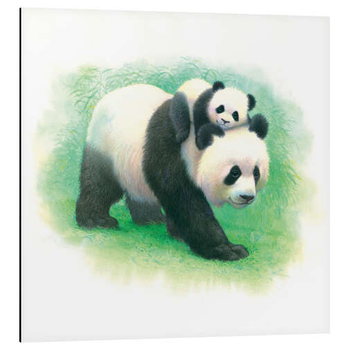 Aluminium print Panda & Baby