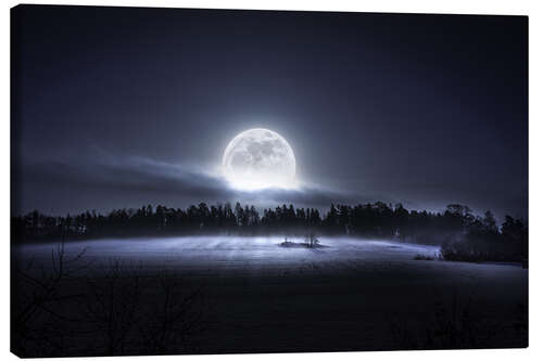 Canvas print The moon is rising