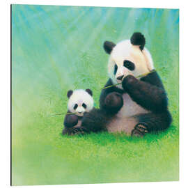 Aluminiumtavla Panda, baby and bamboo