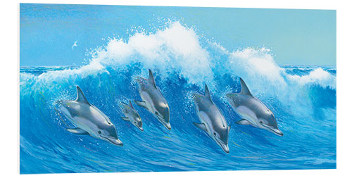 Stampa su PVC Leaping Dolphins